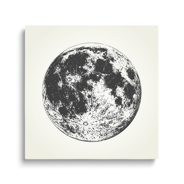 THE MOON